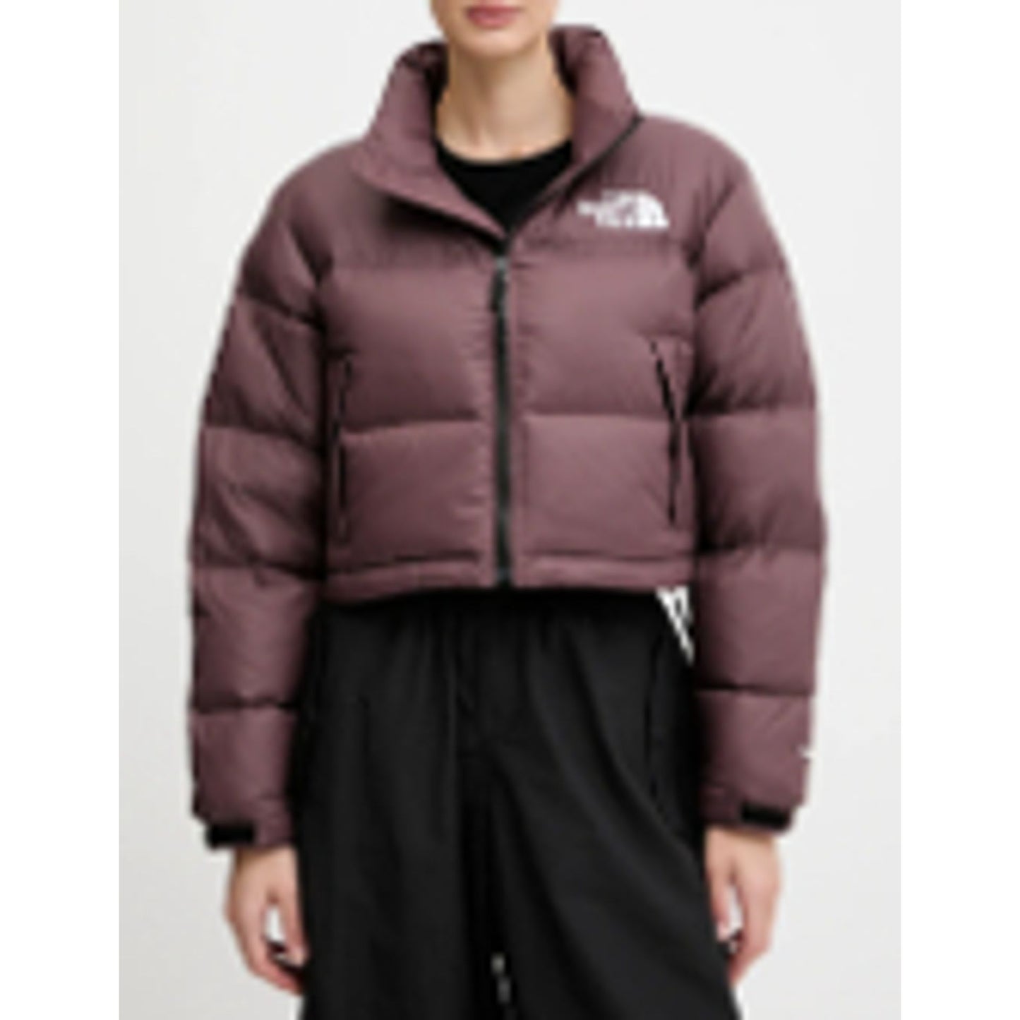 The North Face Jackets